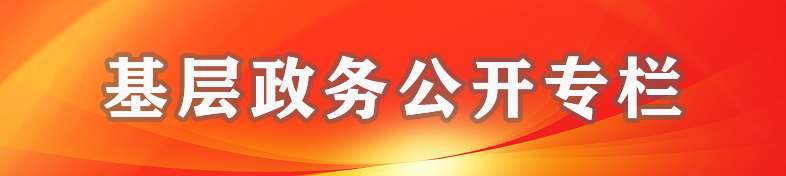 基层政务公开专栏